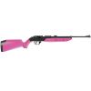 CROSMAN 760 Pumpmaster .177cal Variable Pump BB/Pellet Air Rifle (Pink)