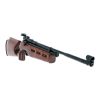 Beeman .177cal CO2 Powered Single Shot Pellet Air Rifle with Competition Diopter Peep Sight