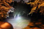 Zx-2 Professional Led Flashlight Kit