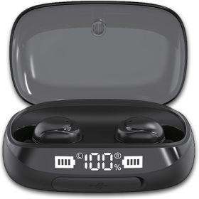 Tws True Bluetooth 5.0 Wireless Earbuds With 2000Mah Charging Case (Product Color: Black)
